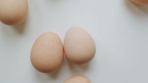 eggs