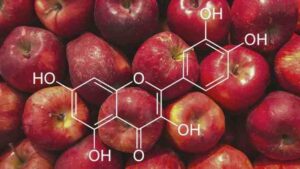 Quercetin in apples